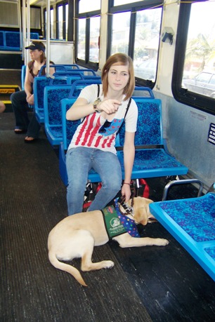 Inseparable companions at the mall or on the bus.