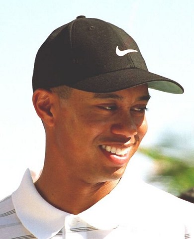 Tiger "Not Quite Out of the Woods" after admitting to past transgressions.