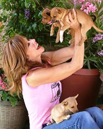 Linda Blair founded a nonprofit organization to provide a safe haven for abused and neglected animals.