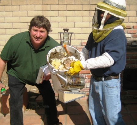 Bee wrangler Manston and his courageous assistant.