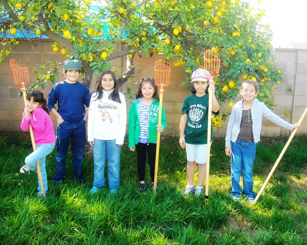 Those lemons didn't stand a chance against this enterprising crew of Brownies who donated their cache of crops to a local food pantry.