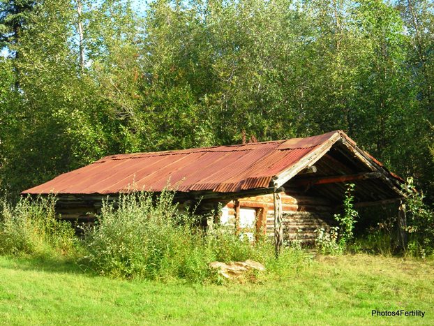 Kristen captured this picture of an old shed with her Canon camera.