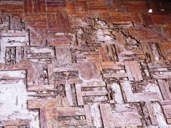 Termites chewed up this once beautiful parquet floor.
