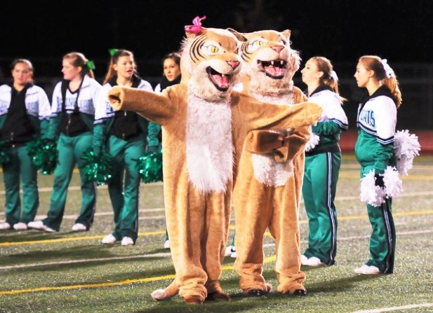 Everybody wanted to be a warm Bonita mascot on a chilly night.